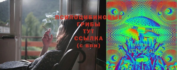 дмт Волоколамск
