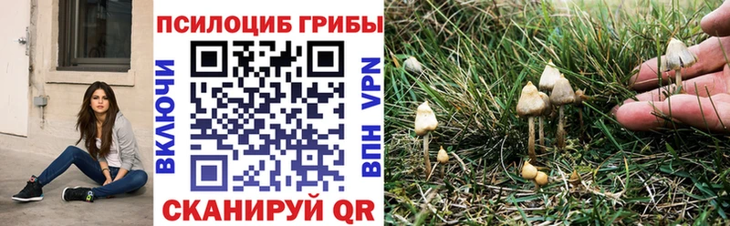 Галлюциногенные грибы GOLDEN TEACHER  Купить где  Троицк 
